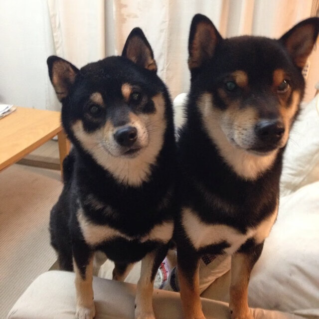 全国青少年“篮球运动日”主题活动在全国多个城市同步展开，全国青少年篮球俱乐部比赛