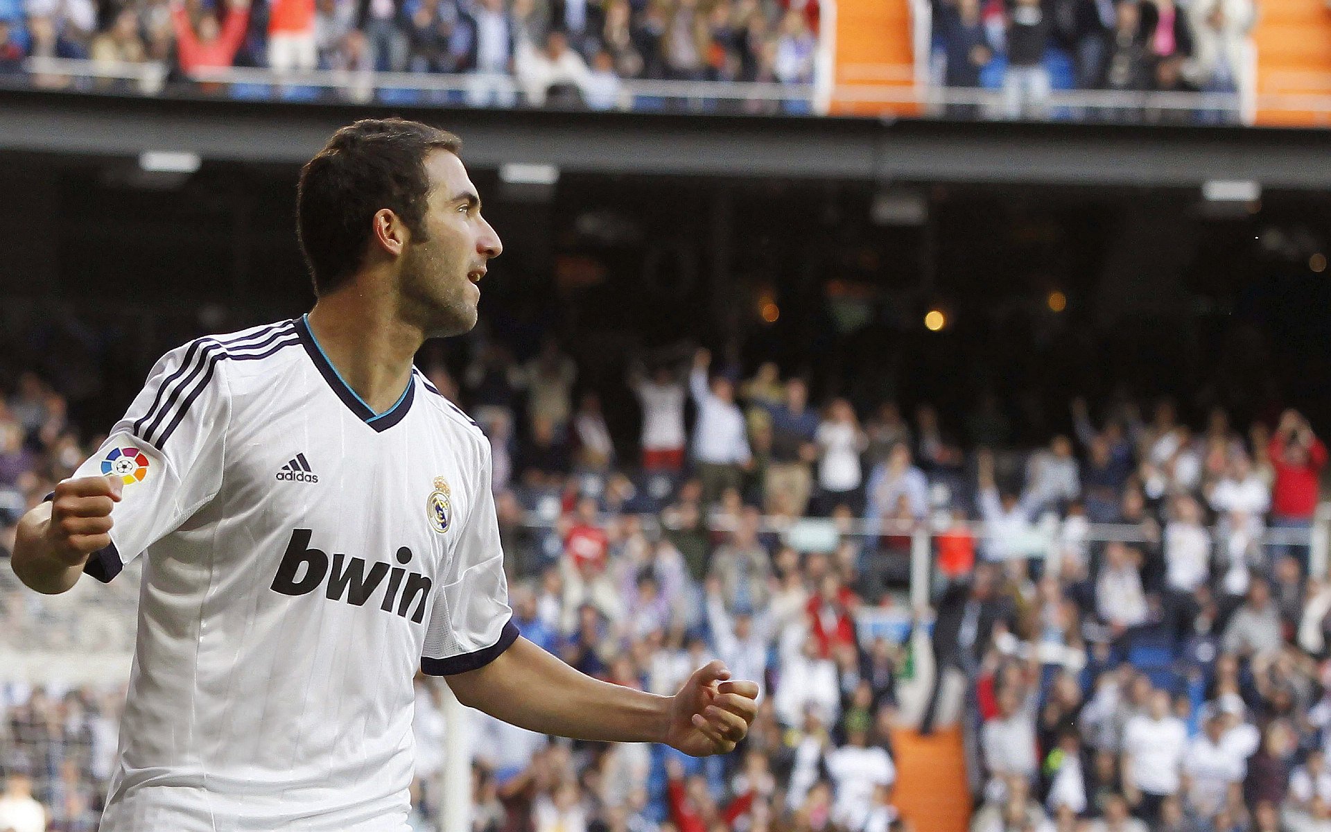 “马丁·高尔西：美洲狮队的防守大师，未来成就待续”