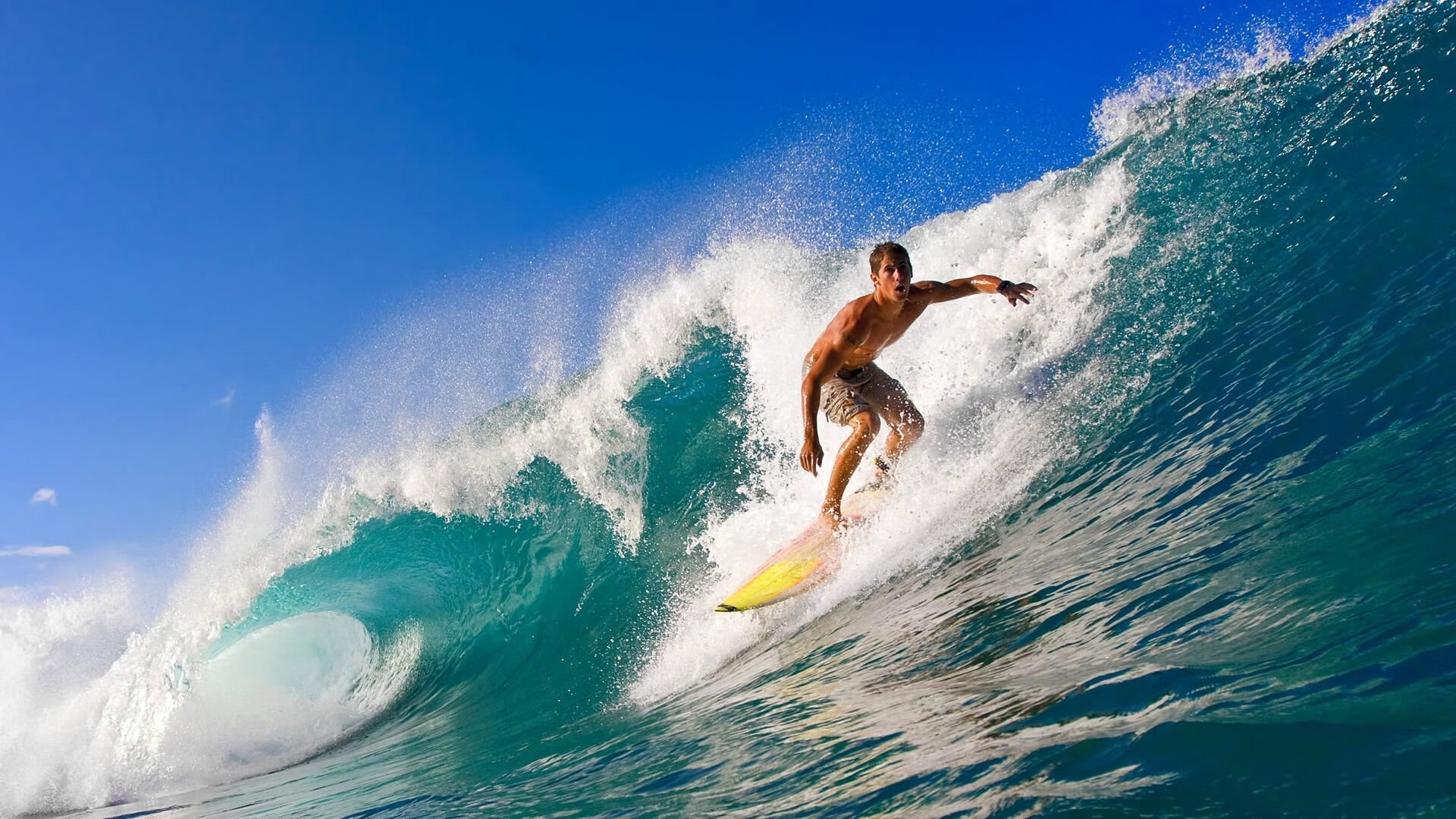 莱德基女子800米自由泳表现引发热议，美国游泳莱德基身高